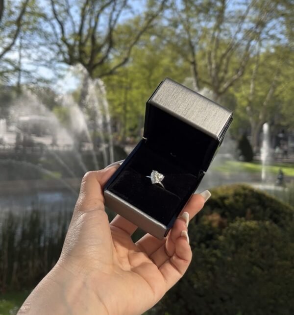 Cœur de Diamant – Image 6