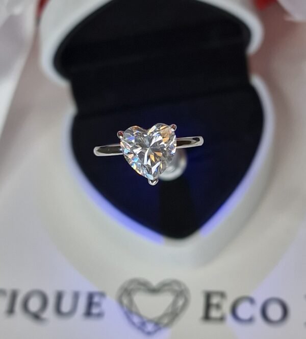 Cœur de Diamant – Image 7