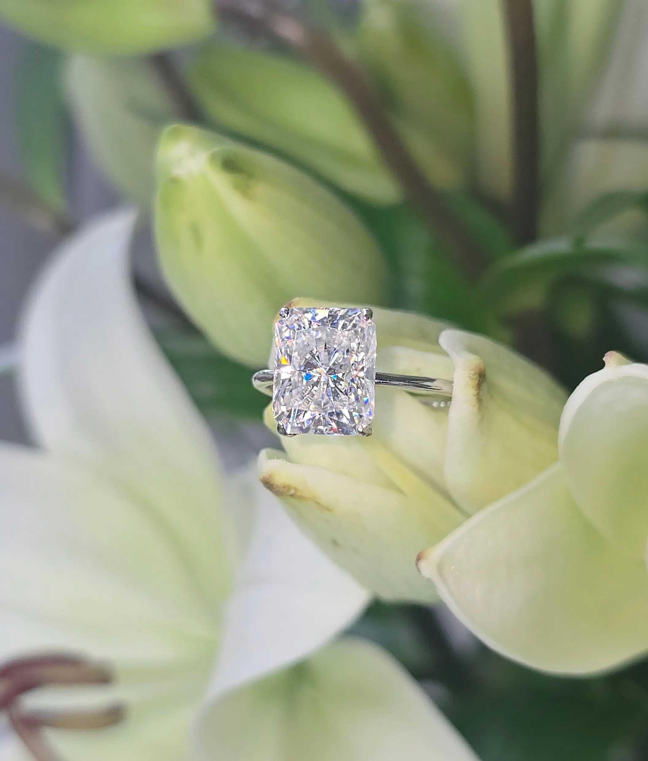 Noblesse – Image 15