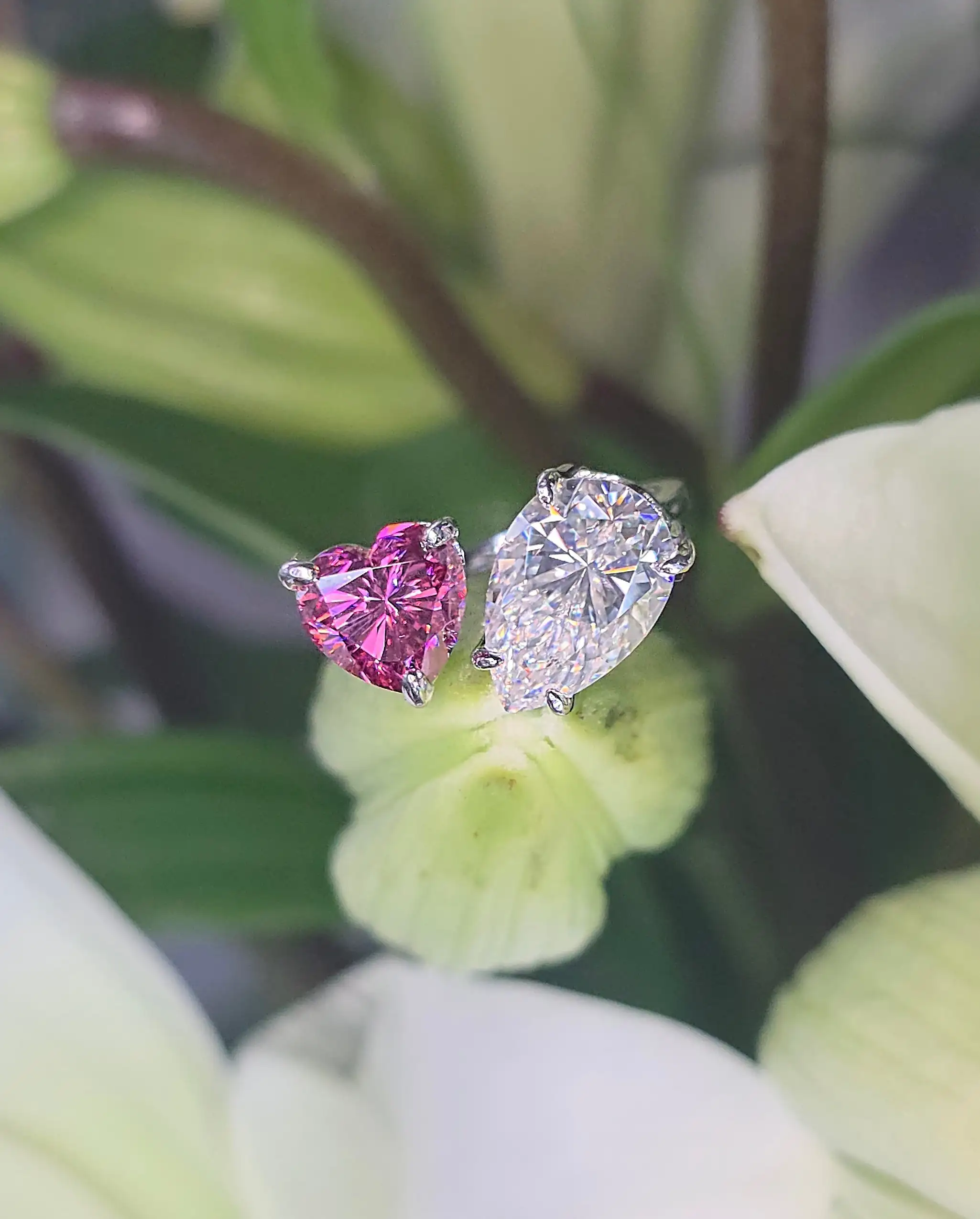 Symphonie Rosalia – Image 7