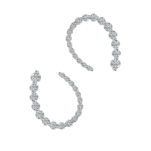 Luxury earrings
