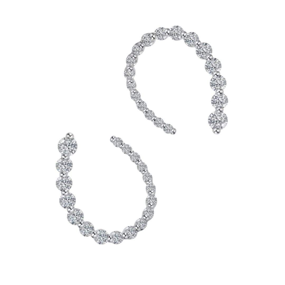 Luxury earrings