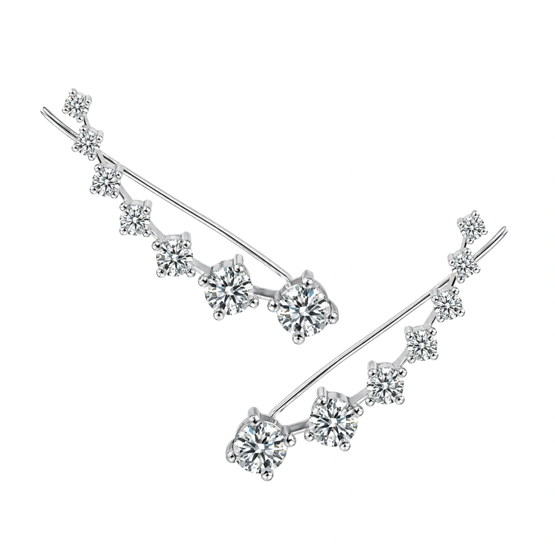 Luxury earrings