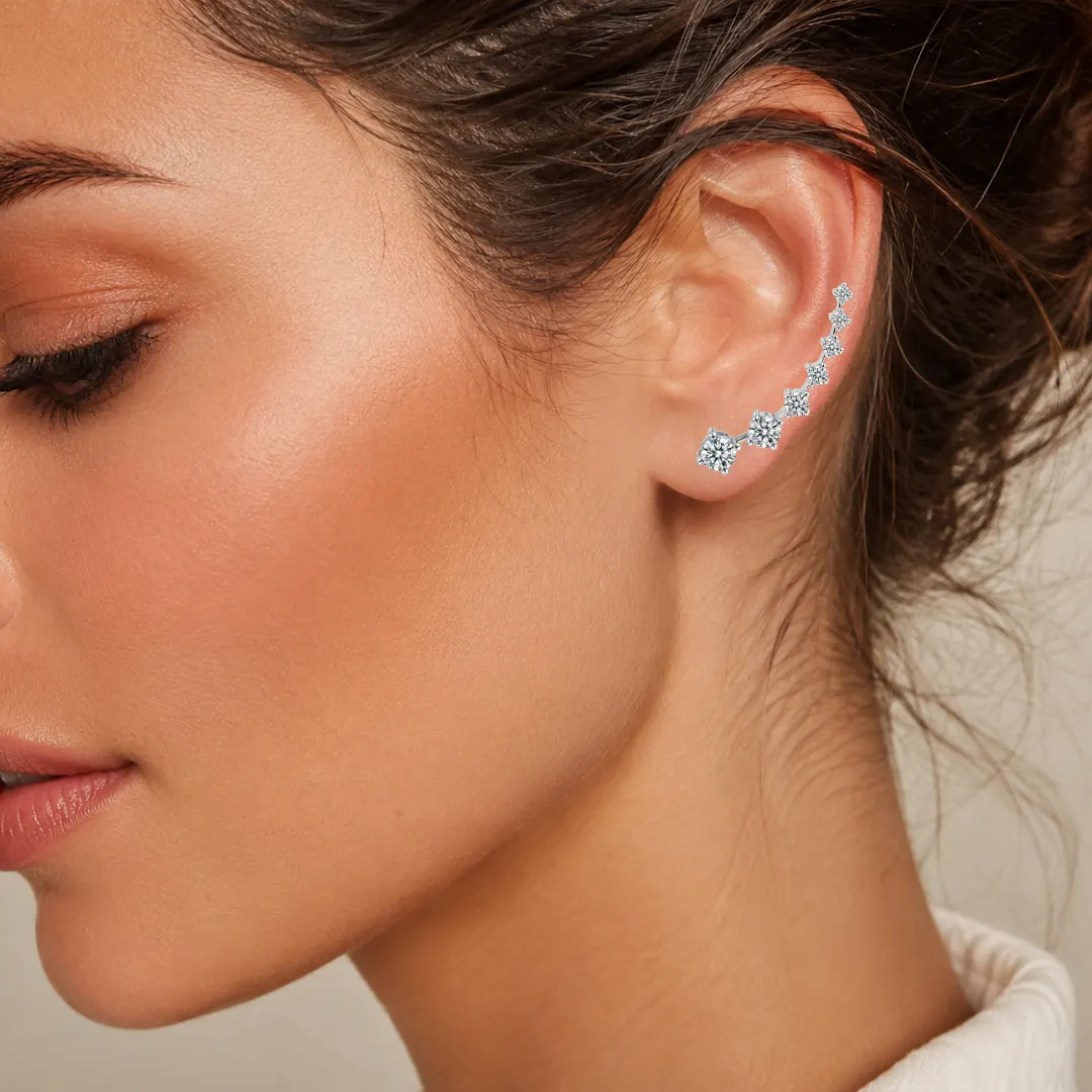 Luxury earrings